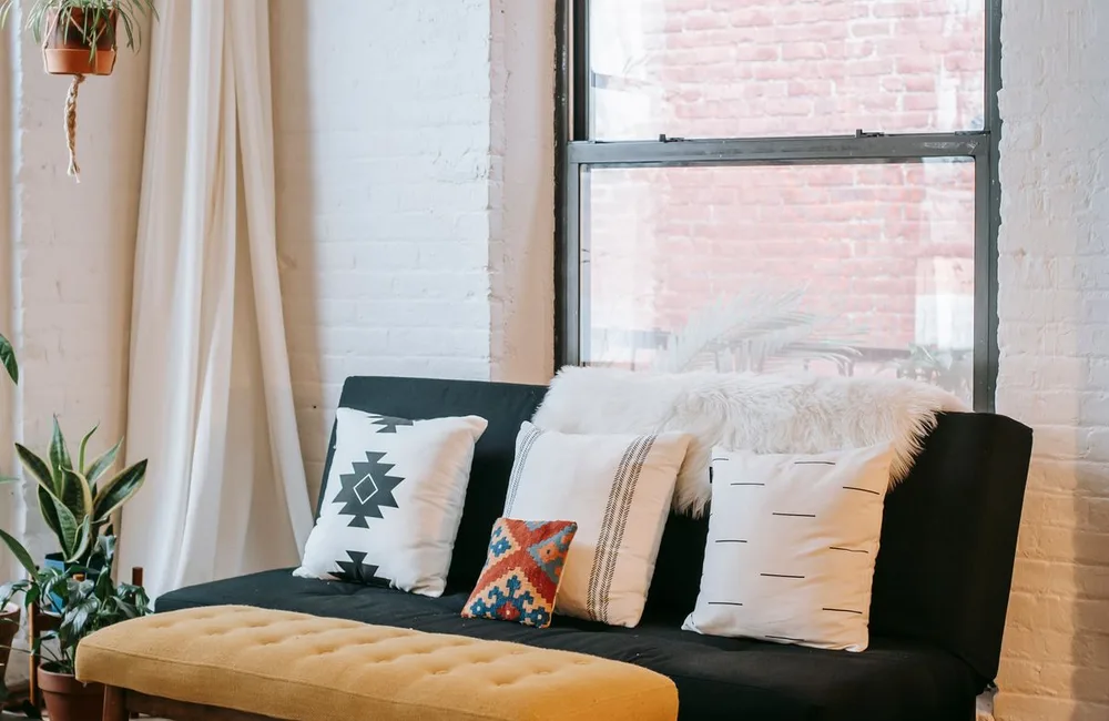Bright living room with sofa and plants